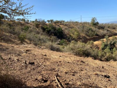 Parcela con vista panorámica 8.900 M2 de superficie