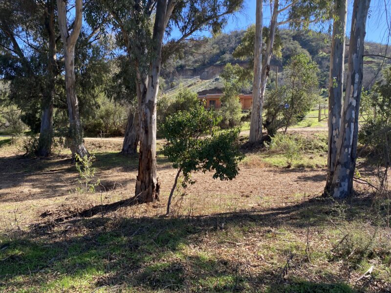 Extensa parcela de agrado en Limache