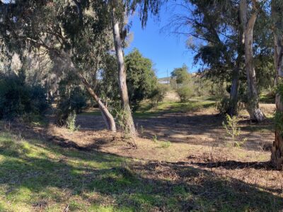 Extensa parcela de agrado en Limache