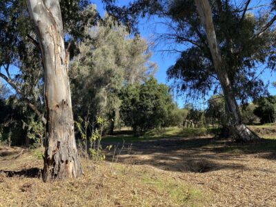 Extensa parcela de agrado en Limache