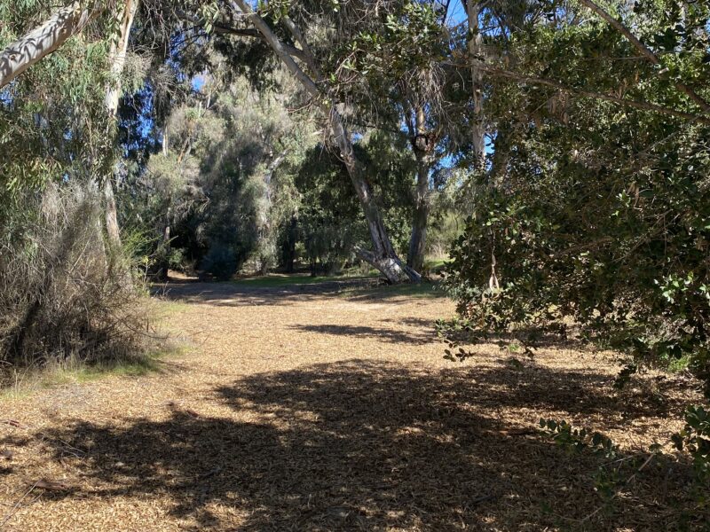 Extensa parcela de agrado en Limache