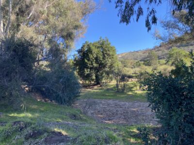 Extensa parcela de agrado en Limache