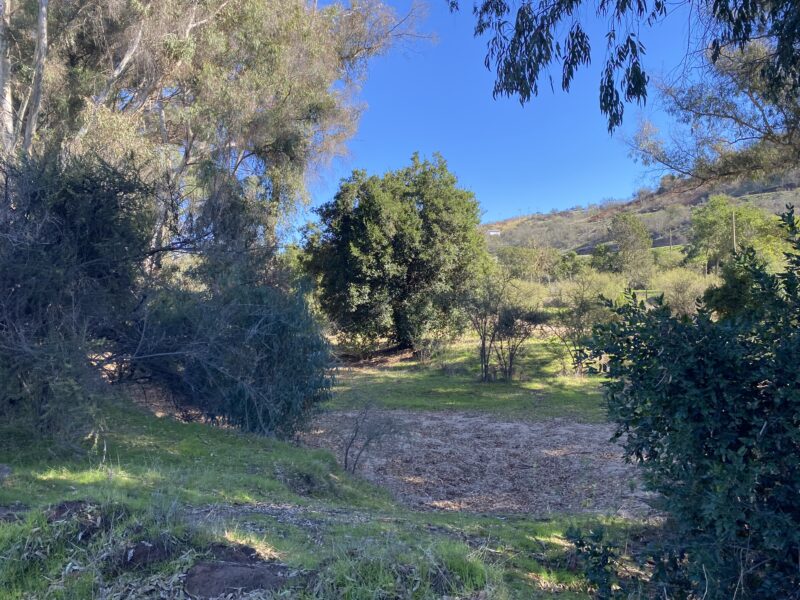 Extensa parcela de agrado en Limache