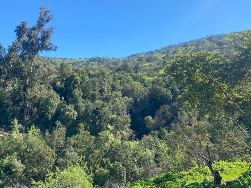 Parcela en Limache con vista al Valle y a minutos del centro