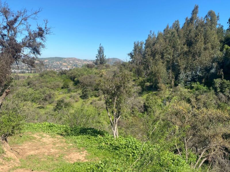 Parcela en Limache con vista al Valle y a minutos del centro