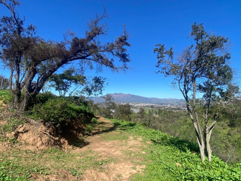 Parcela en Limache con vista al Valle y a minutos del centro