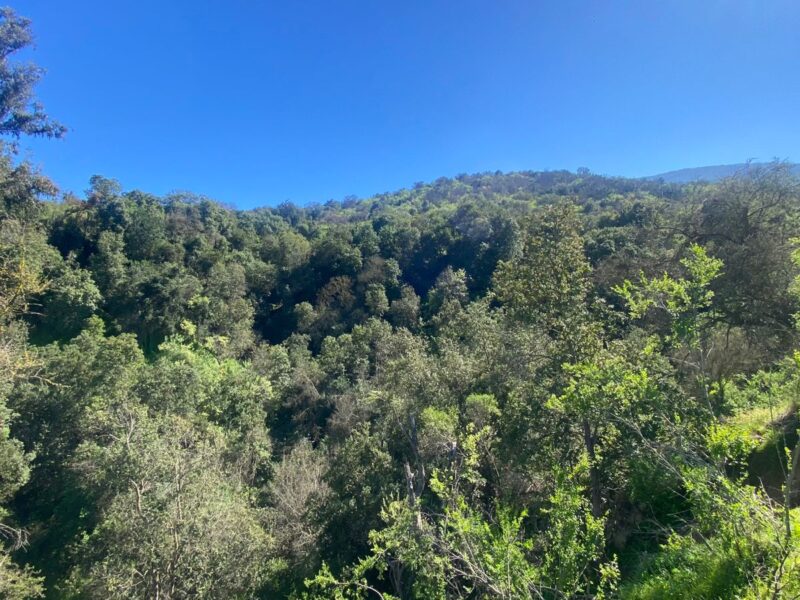 Parcela en Limache con vista al Valle y a minutos del centro