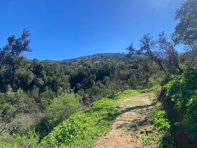 Parcela en Limache con vista al Valle y a minutos del centro