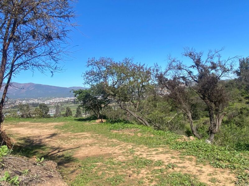 Parcela en Limache con vista al Valle y a minutos del centro