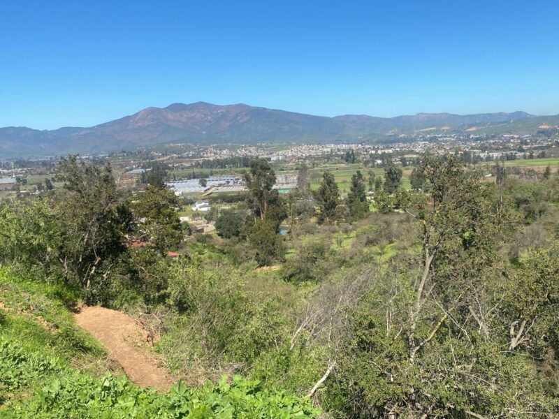 Parcela en Limache con vista al Valle y a minutos del centro