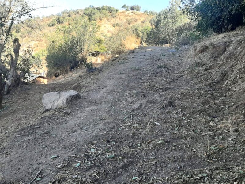 Terreno campestre de 500 mts con una tremenda vista al valle de Olmué